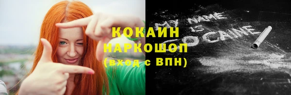 гидра Арсеньев