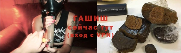 гидра Арсеньев